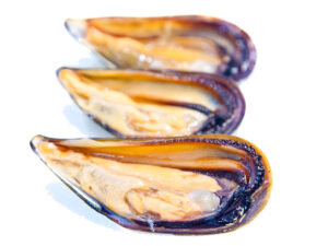 Moules crues (Grosses) x6